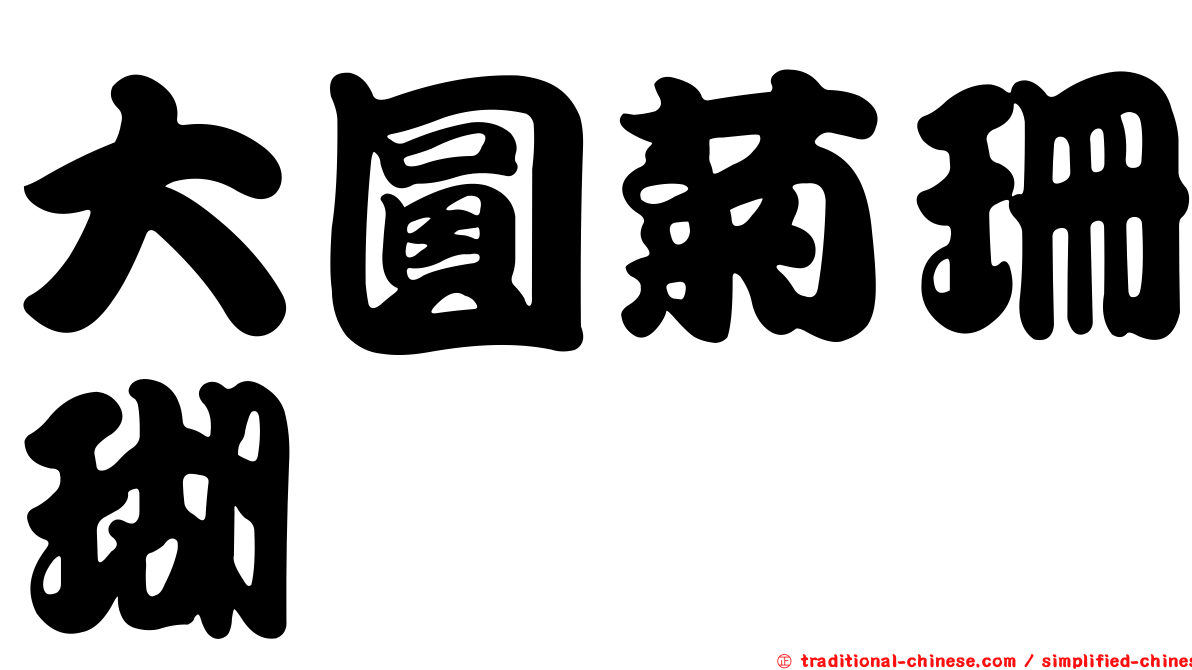 大圓菊珊瑚