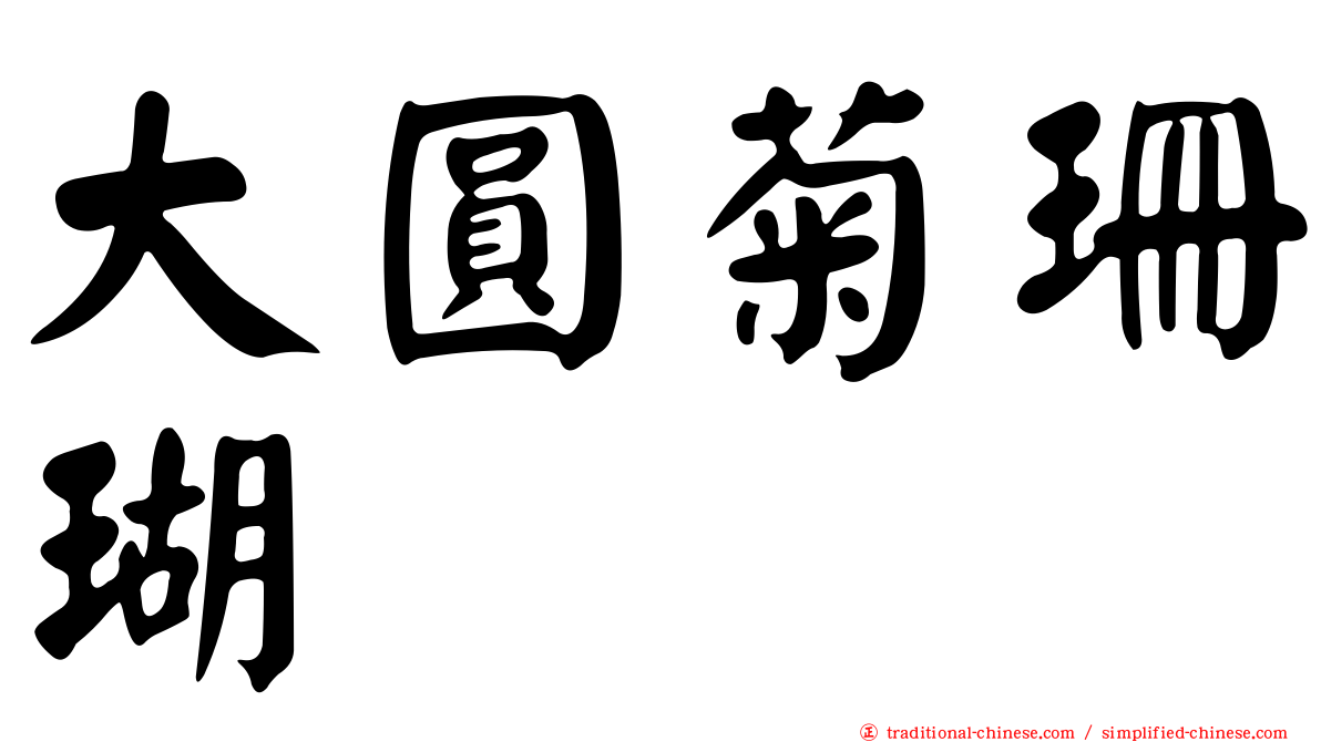 大圓菊珊瑚