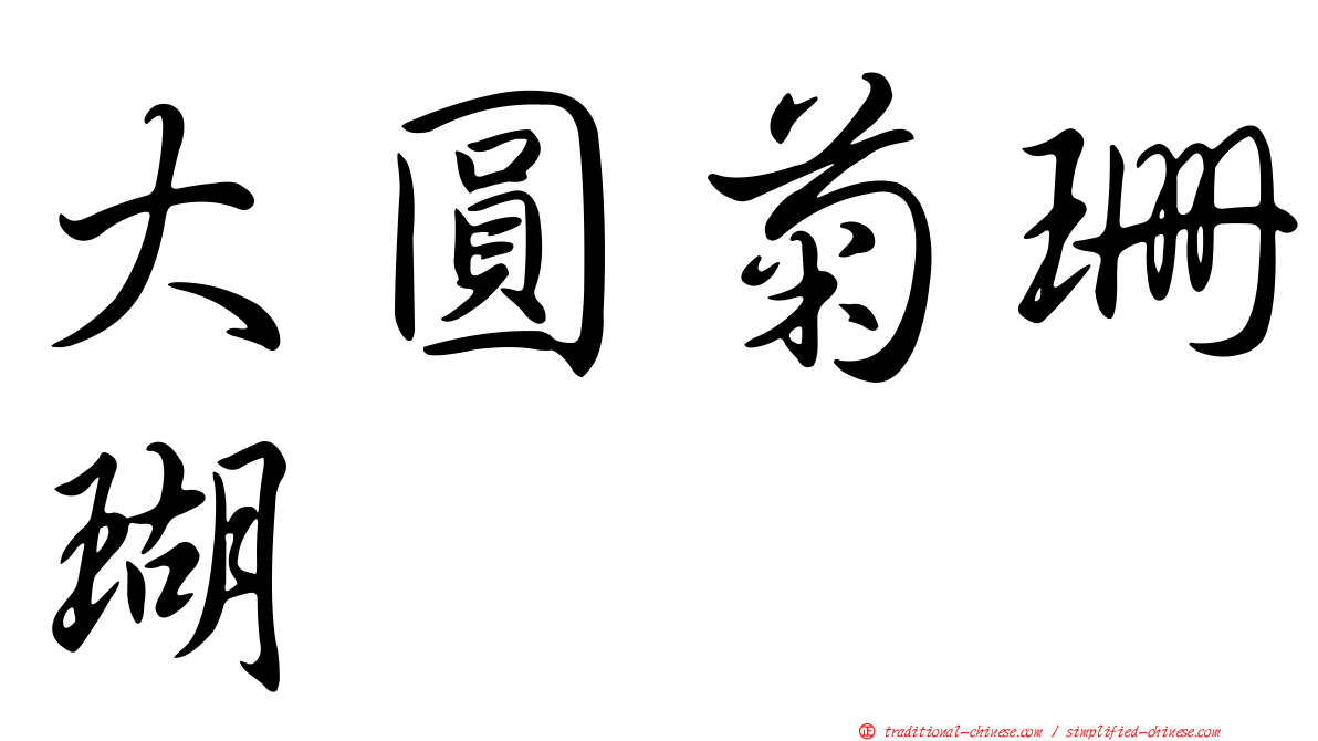 大圓菊珊瑚
