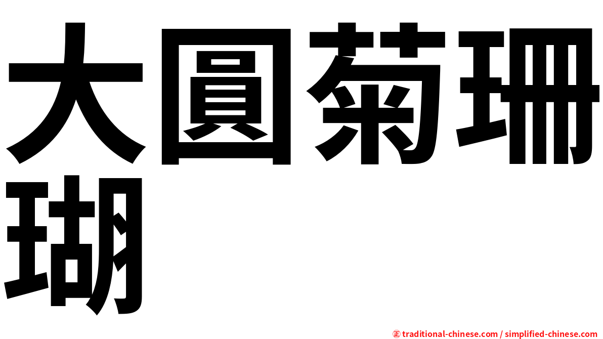 大圓菊珊瑚
