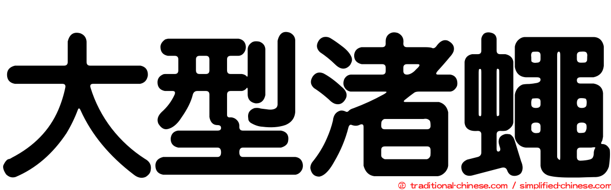 大型渚蠅