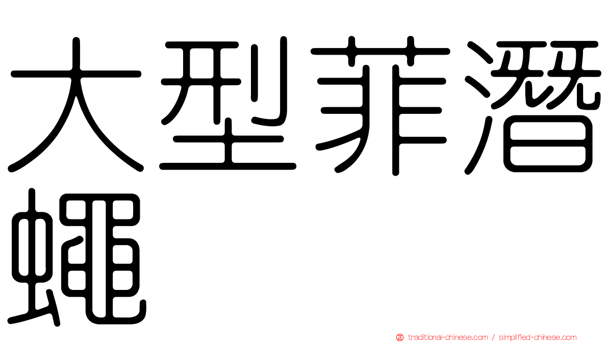 大型菲潛蠅