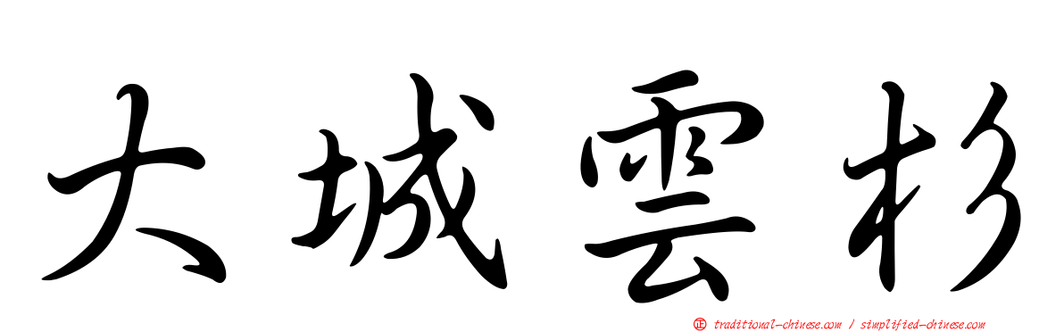 大城雲杉
