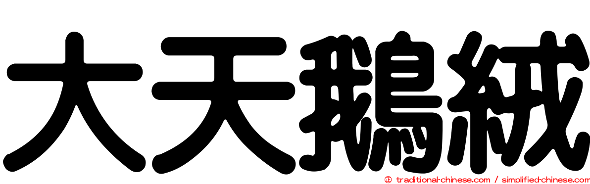 大天鵝絨