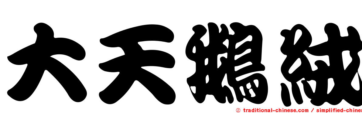 大天鵝絨