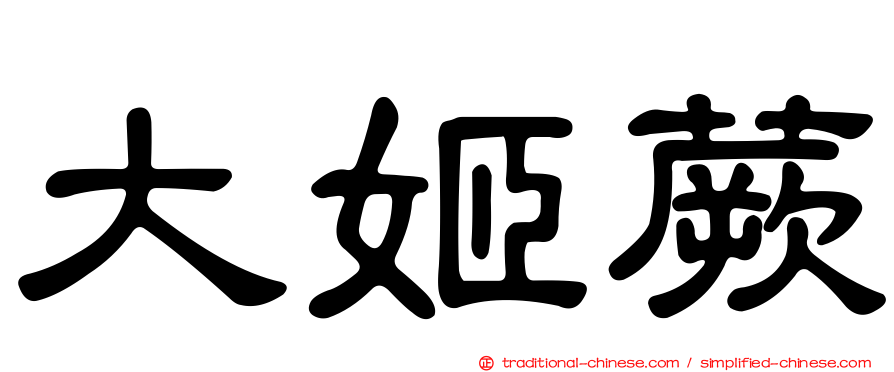 大姬蕨