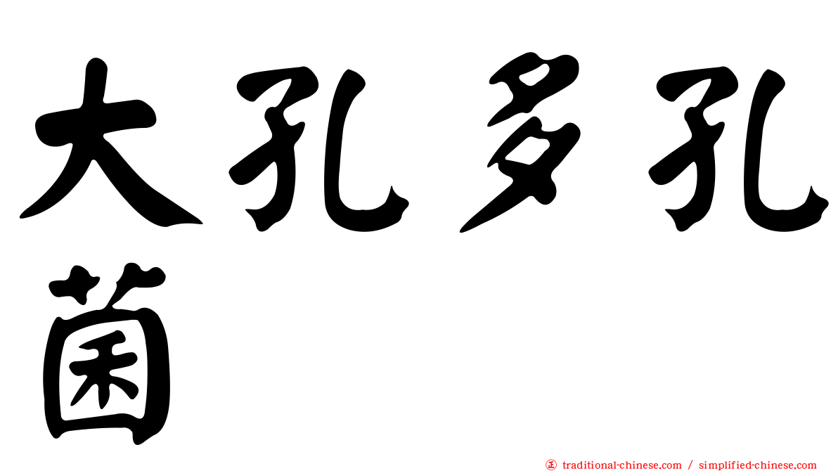 大孔多孔菌