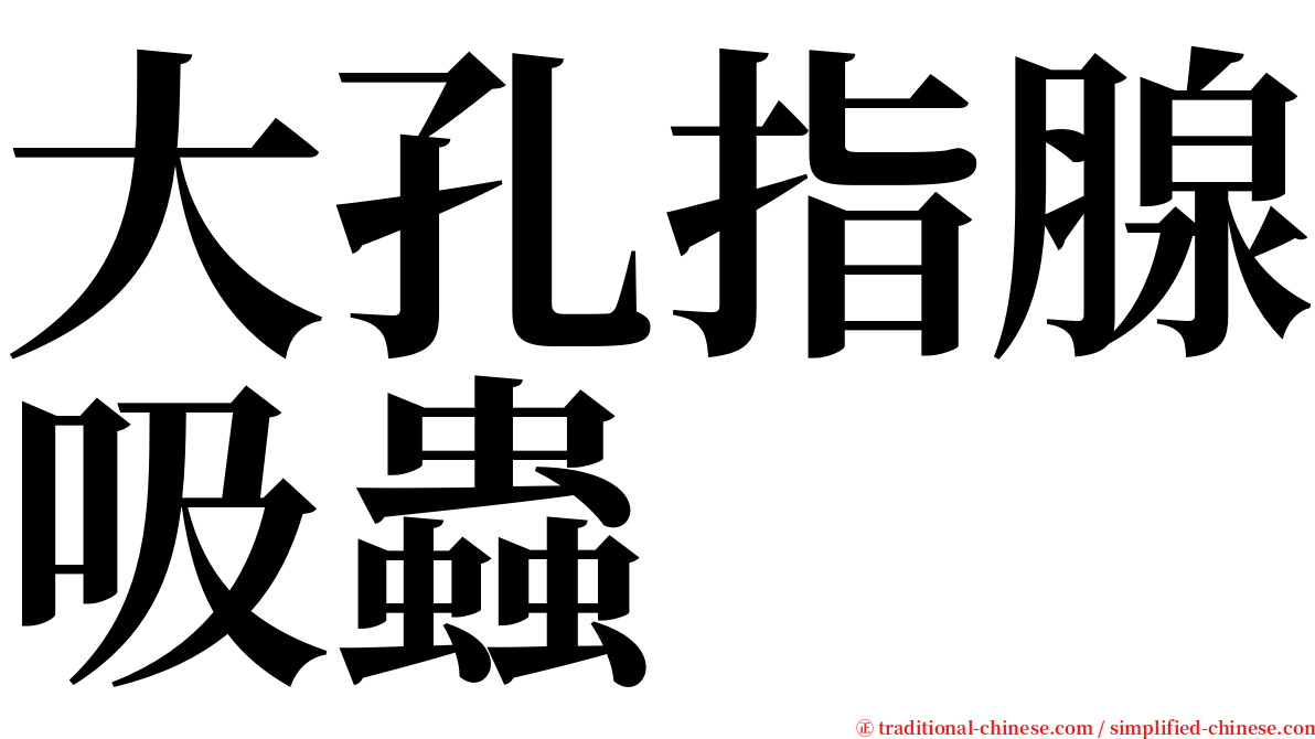 大孔指腺吸蟲 serif font