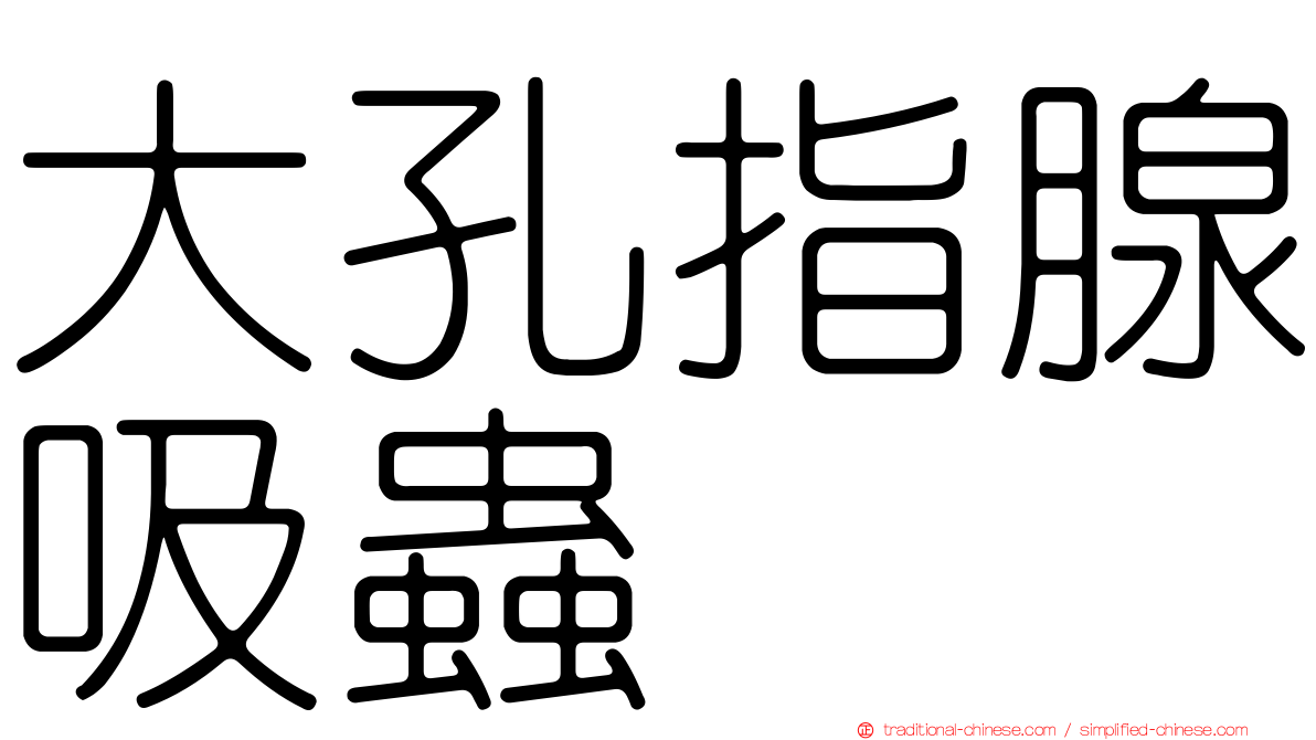 大孔指腺吸蟲