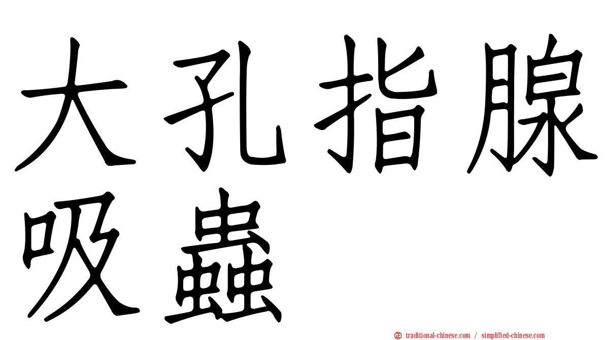大孔指腺吸蟲