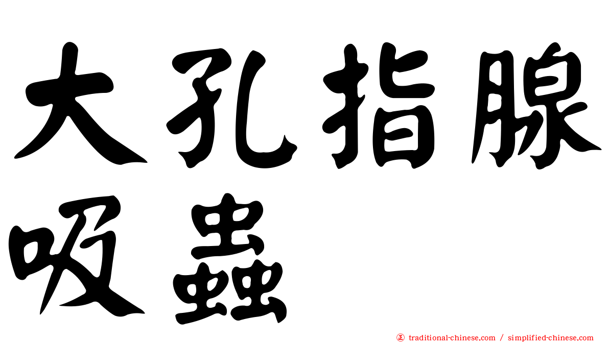 大孔指腺吸蟲
