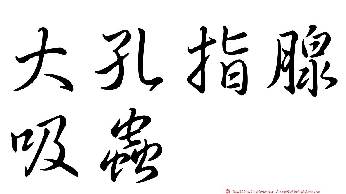 大孔指腺吸蟲