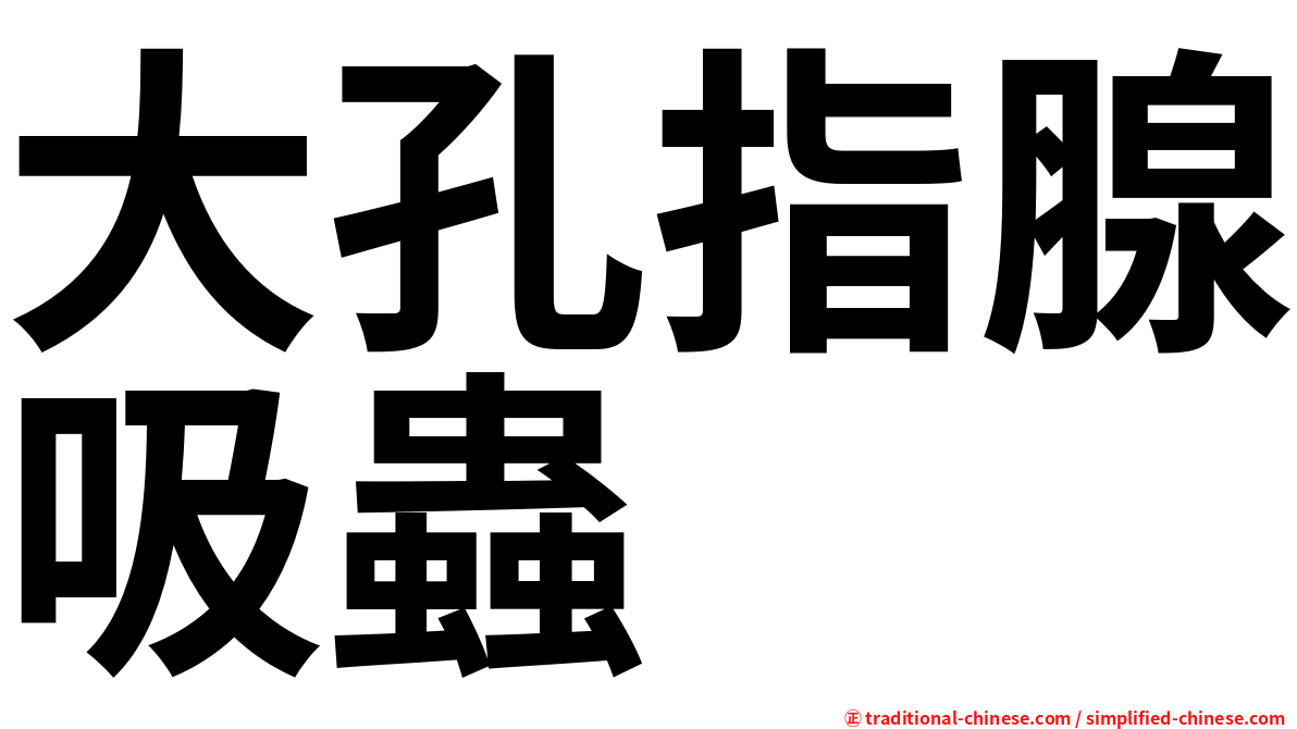 大孔指腺吸蟲