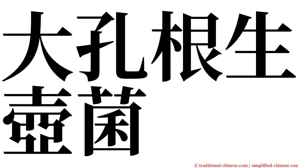 大孔根生壺菌 serif font