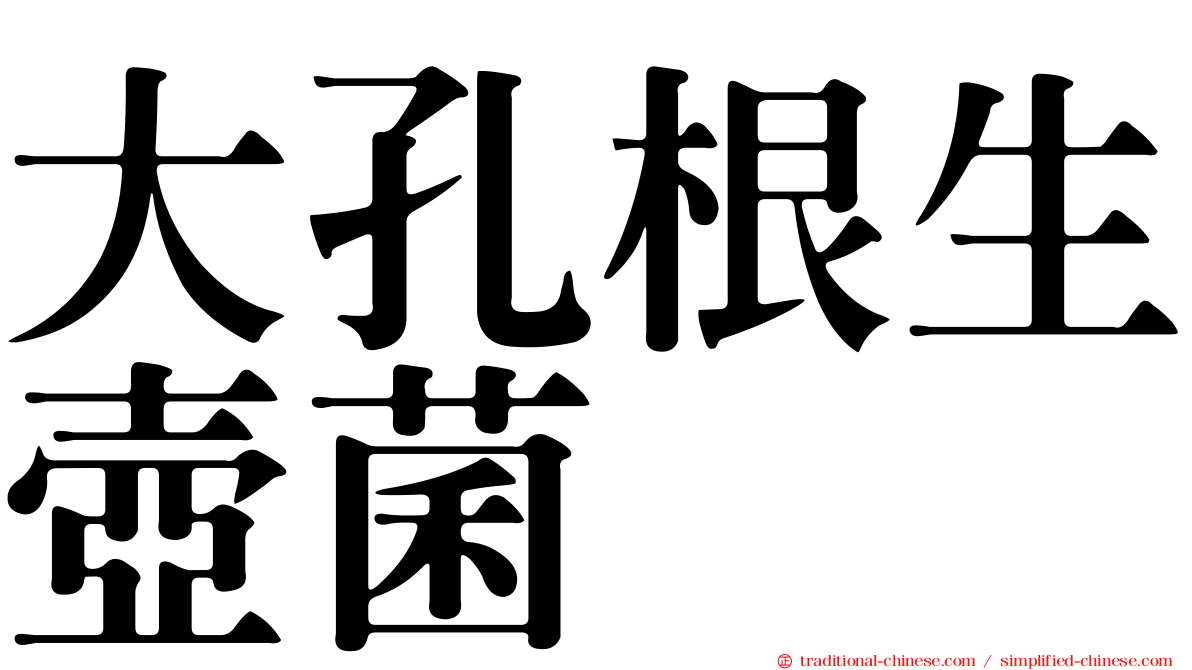 大孔根生壺菌