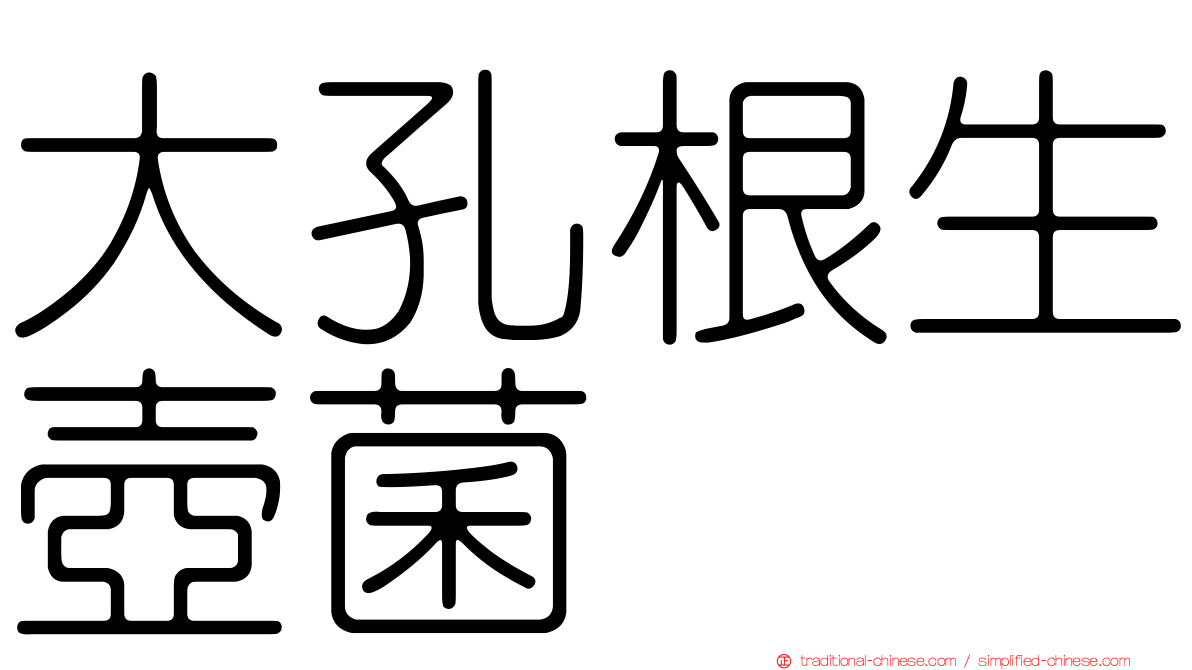 大孔根生壺菌