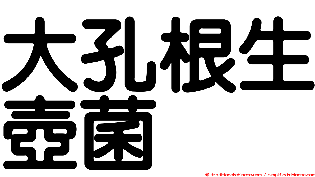 大孔根生壺菌