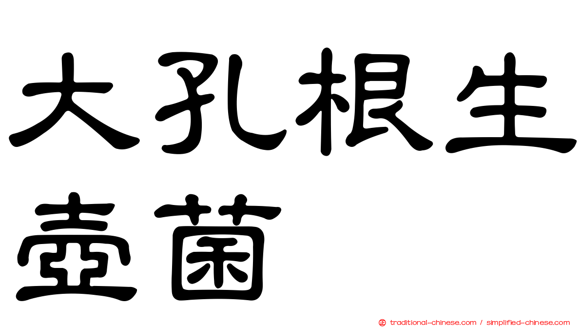 大孔根生壺菌