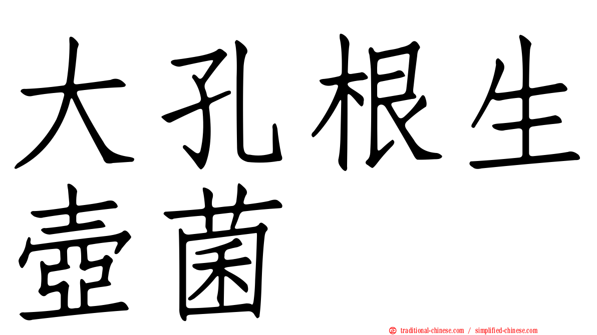 大孔根生壺菌