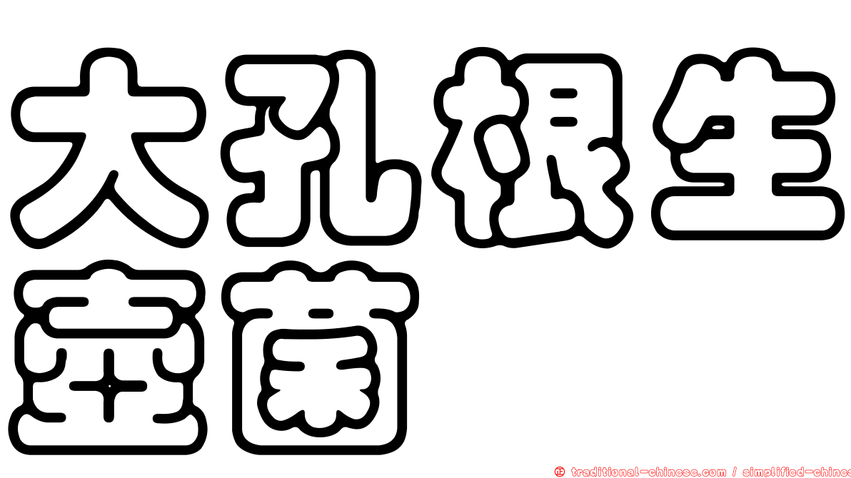 大孔根生壺菌
