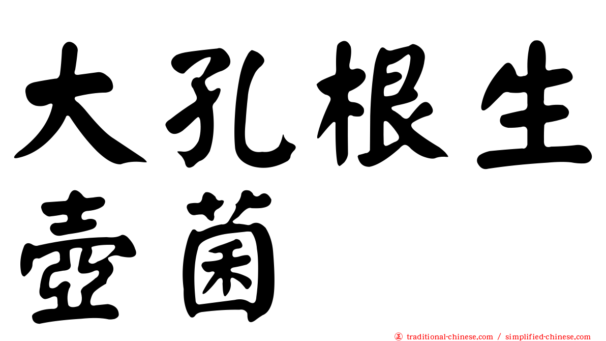 大孔根生壺菌