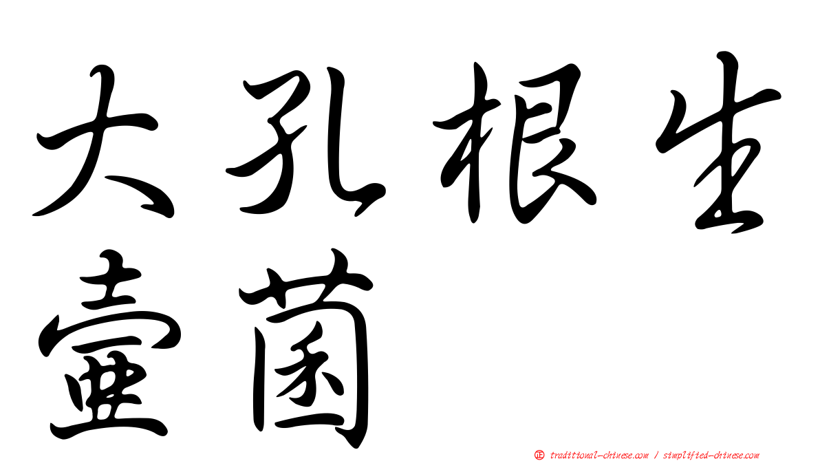 大孔根生壺菌