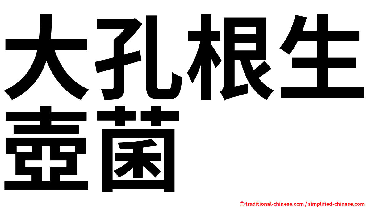 大孔根生壺菌
