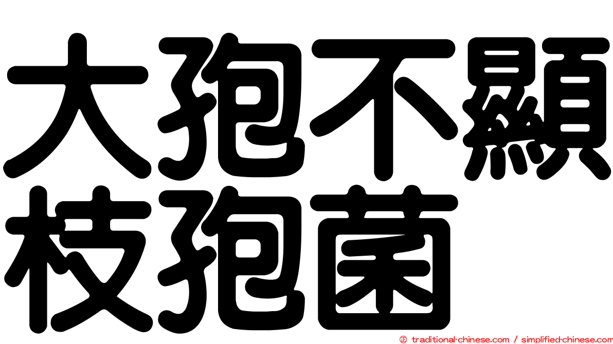 大孢不顯枝孢菌
