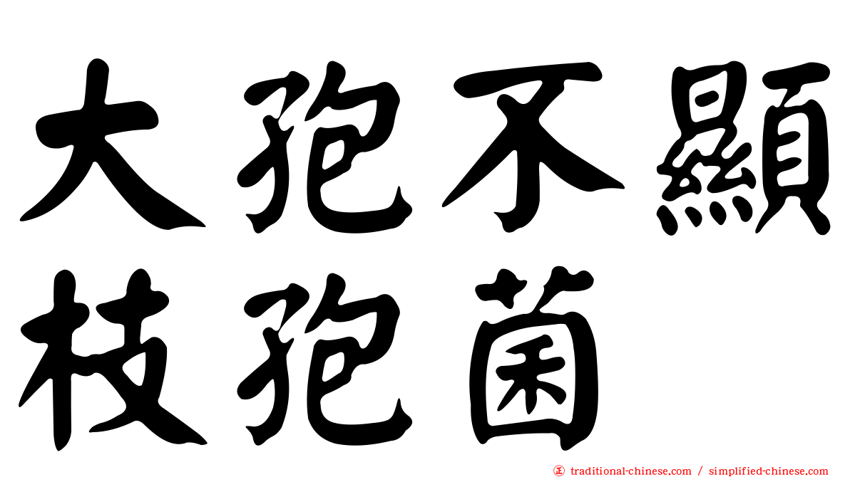 大孢不顯枝孢菌