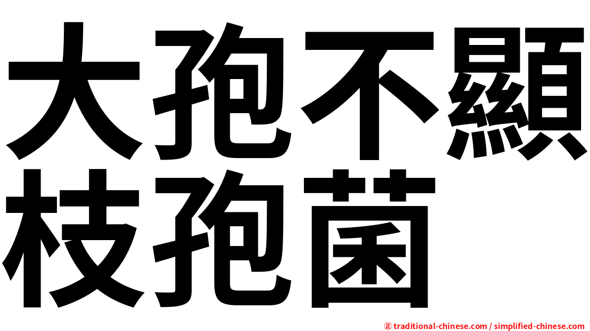 大孢不顯枝孢菌