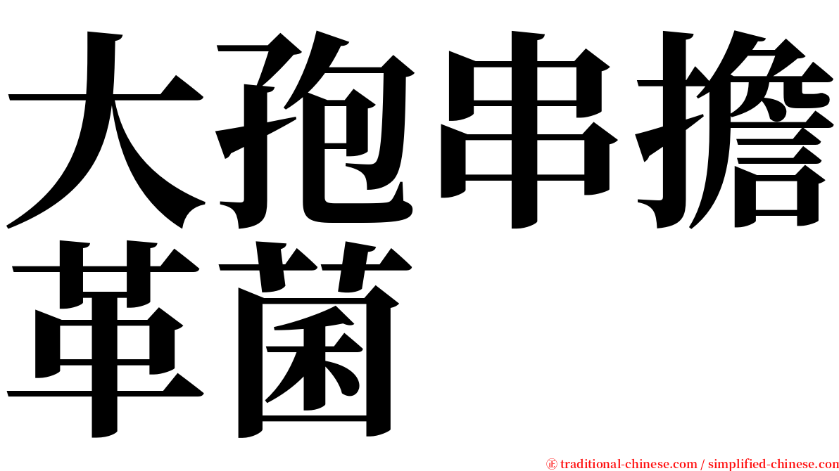 大孢串擔革菌 serif font