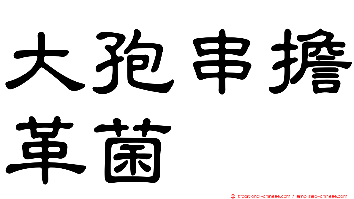 大孢串擔革菌