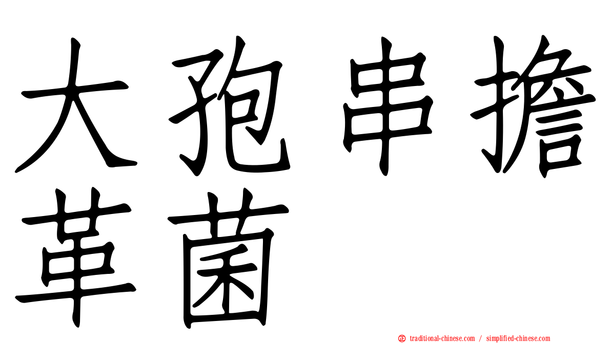 大孢串擔革菌