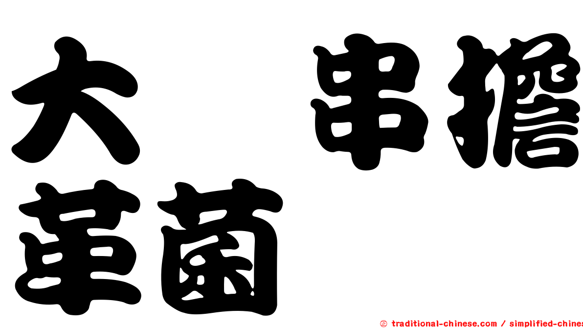 大孢串擔革菌