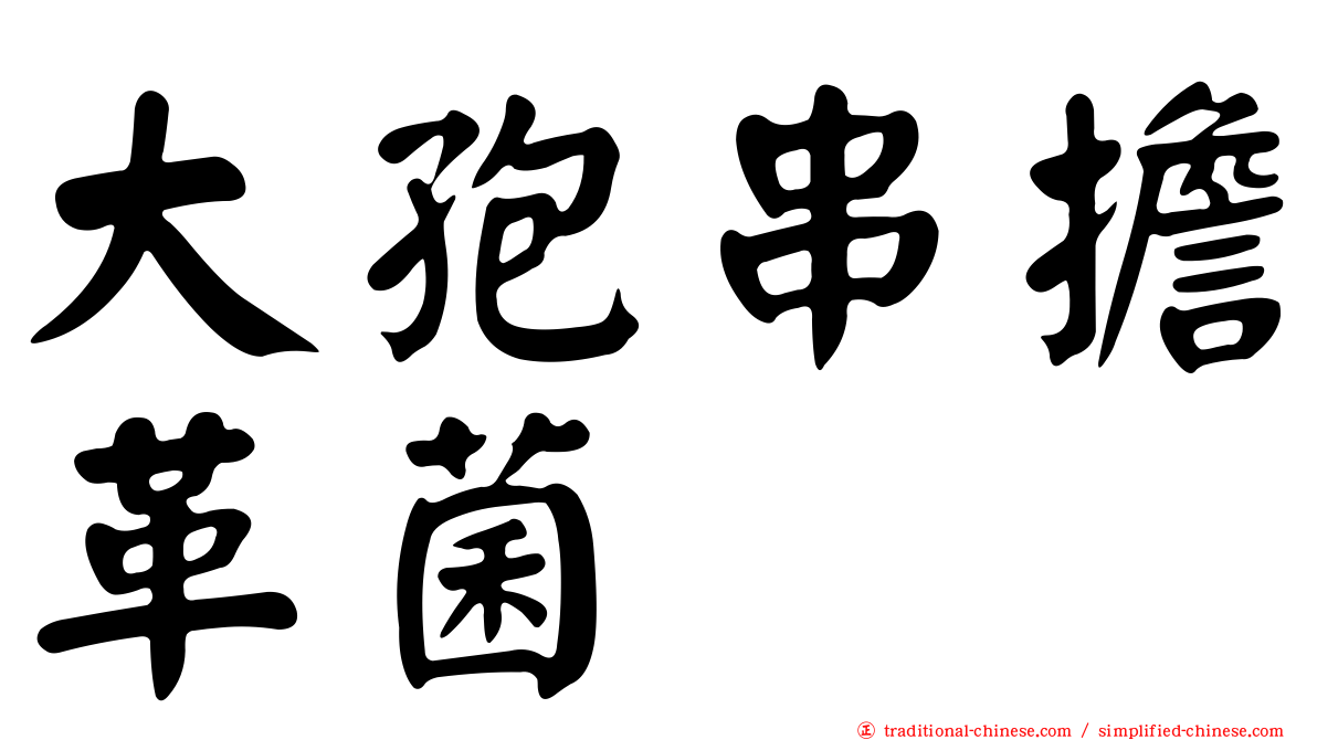 大孢串擔革菌