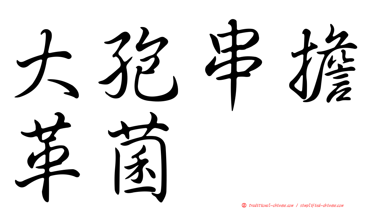 大孢串擔革菌