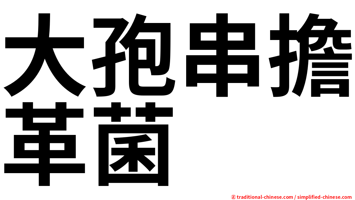 大孢串擔革菌