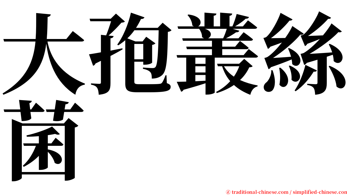 大孢叢絲菌 serif font