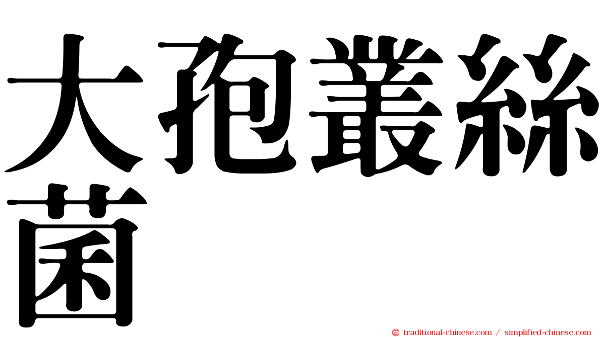 大孢叢絲菌