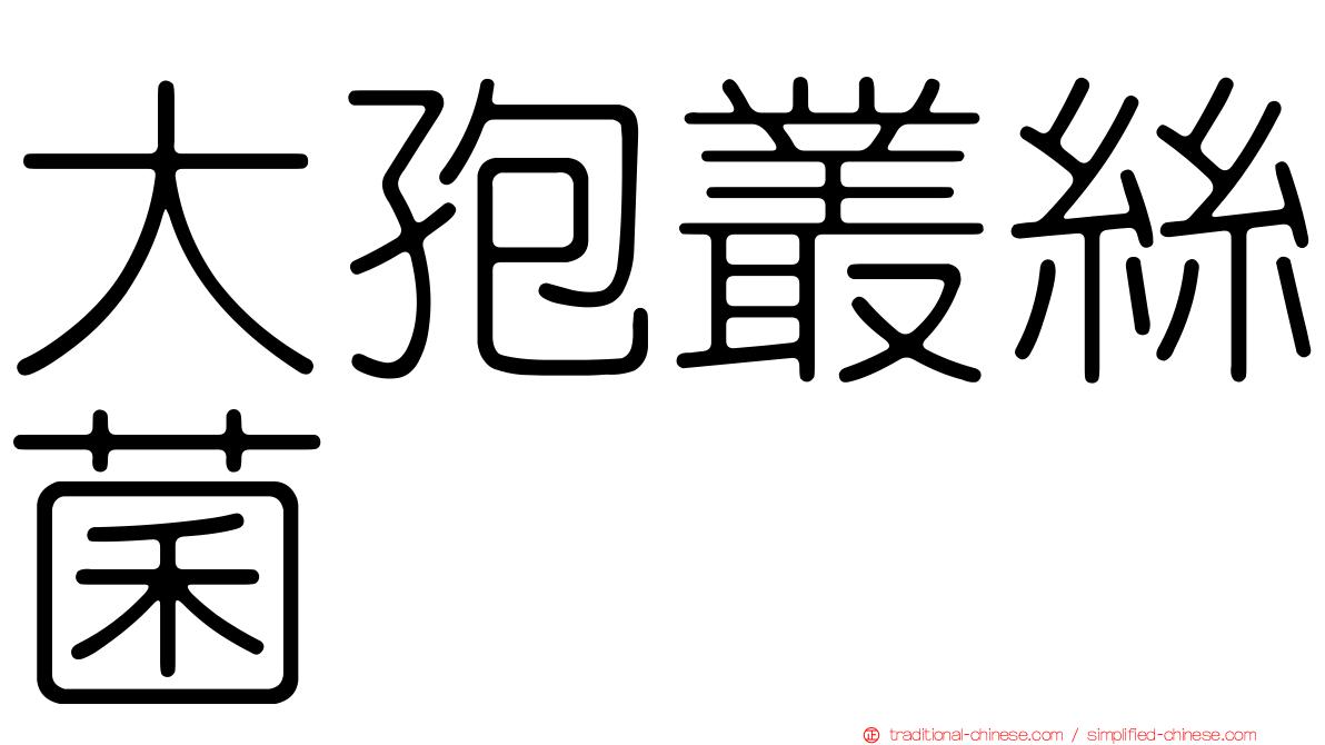 大孢叢絲菌