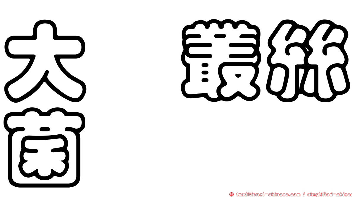 大孢叢絲菌