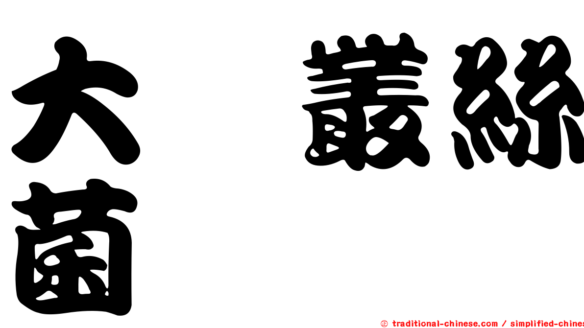 大孢叢絲菌