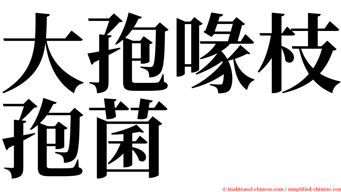 大孢喙枝孢菌 serif font