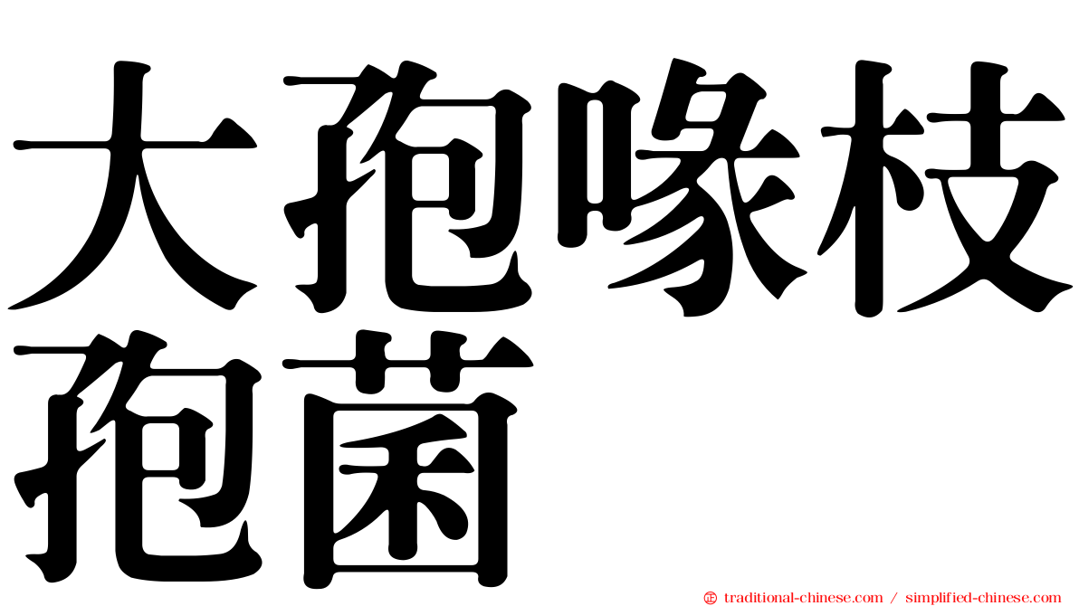 大孢喙枝孢菌