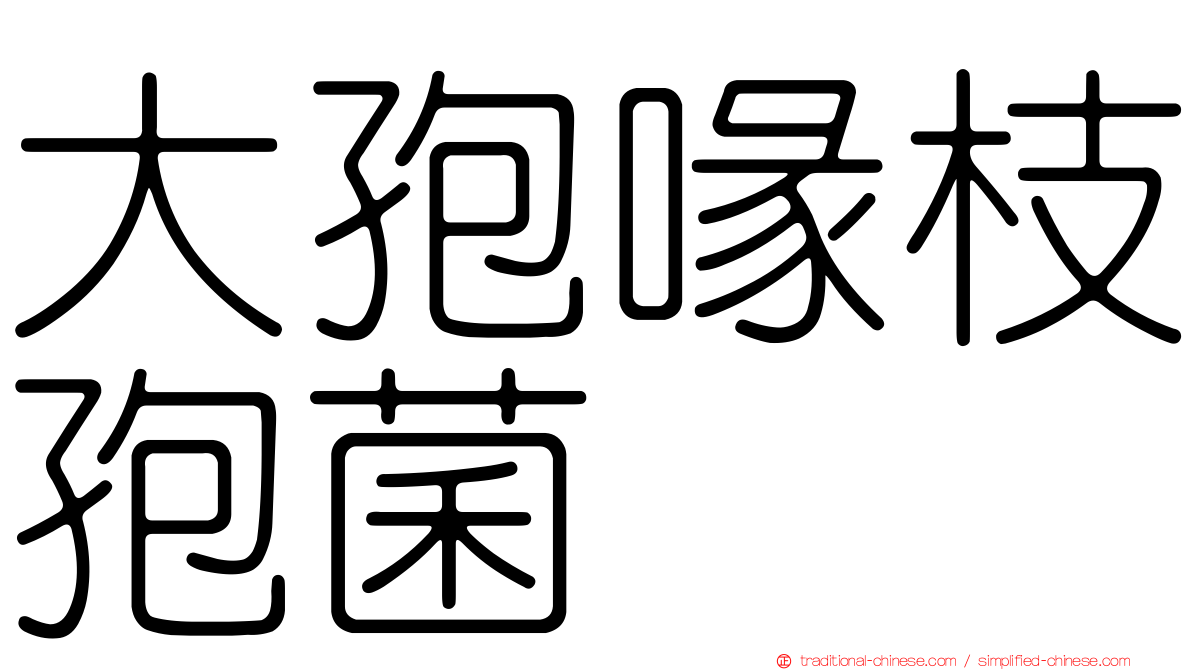 大孢喙枝孢菌