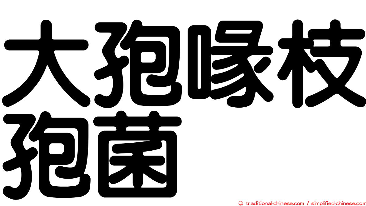 大孢喙枝孢菌