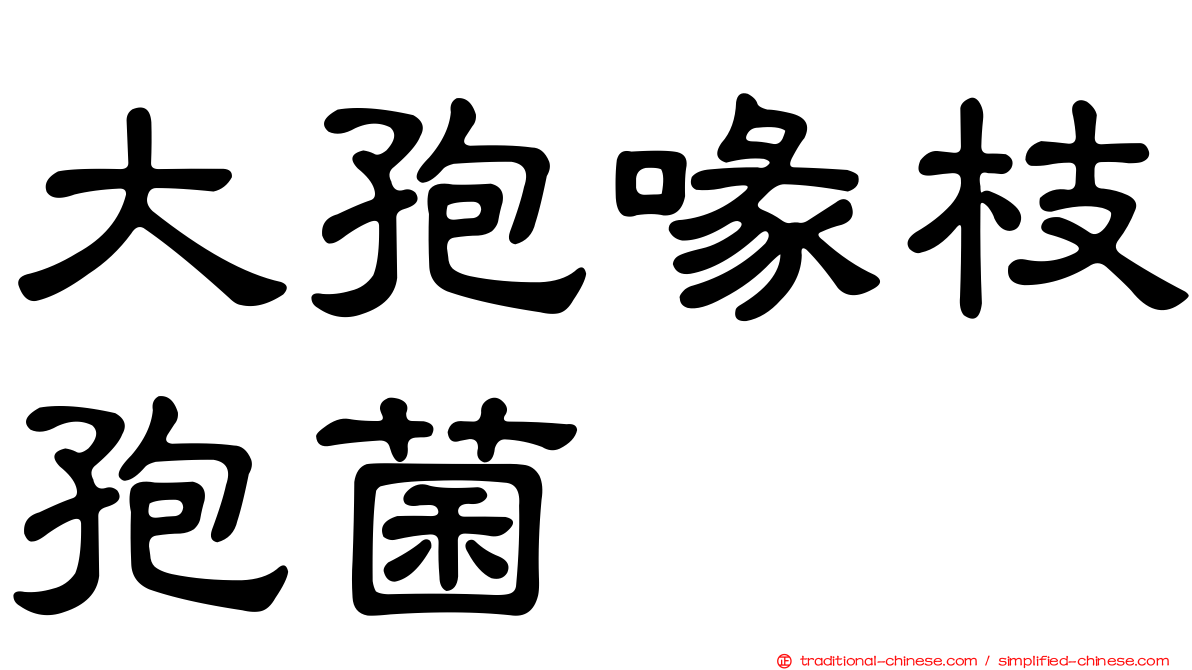 大孢喙枝孢菌