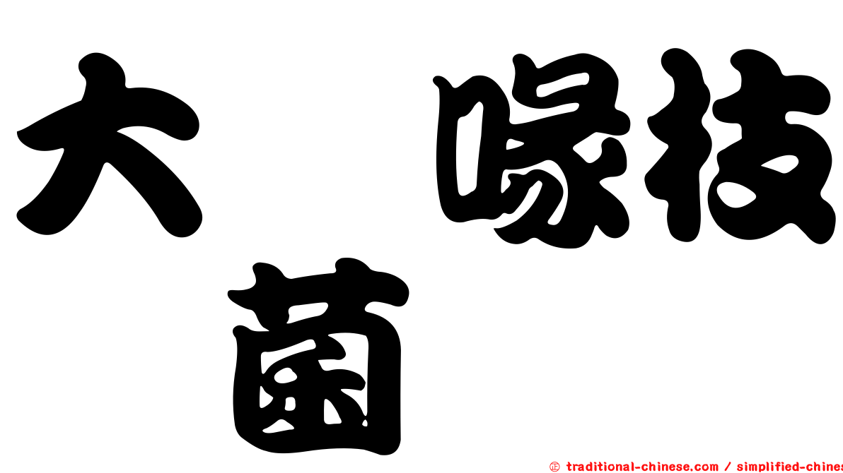 大孢喙枝孢菌