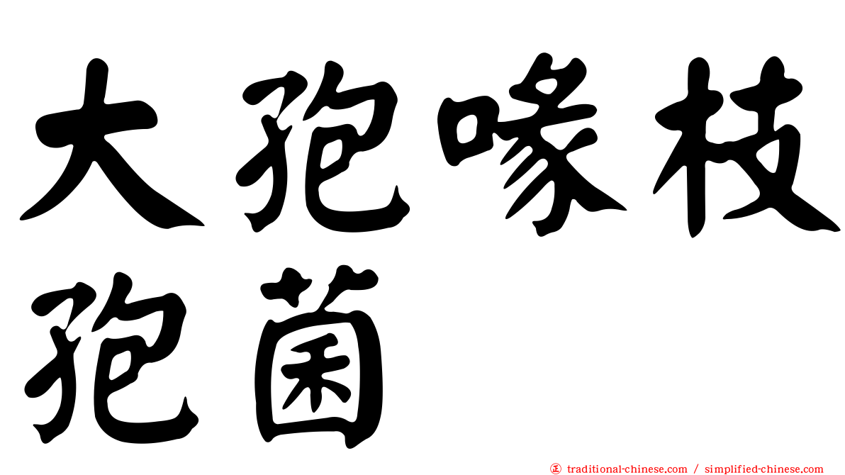 大孢喙枝孢菌