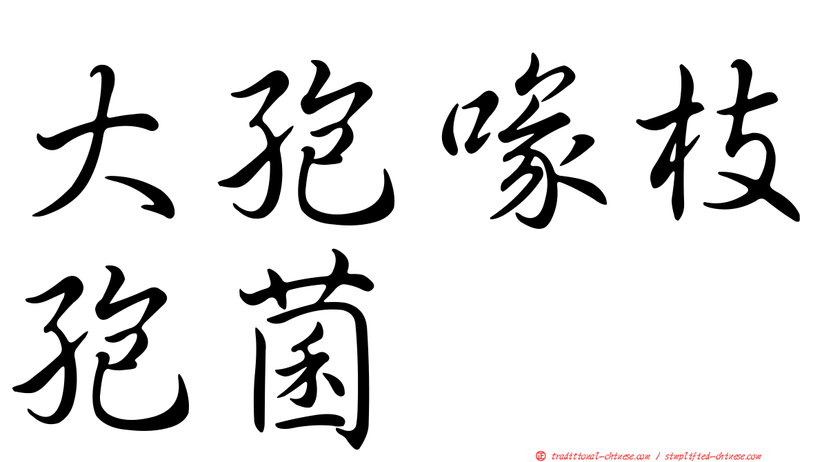 大孢喙枝孢菌